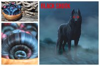 Black Shuck rolags - 100g