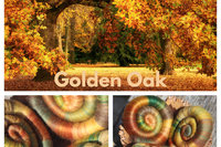 Golden Oak Rolags - 100g