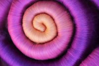 Antelope Canyon Rolags - 100g