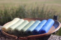 Blue Tit Gradient Batt Set