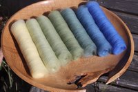 Blue Tit Gradient Batt Set