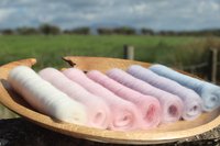 Longtailed Tit Gradient Batt Set