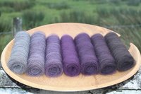 Spooky Shetland Gradient Batt Set - 100g