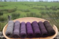 Spooky Shetland Gradient Batt Set - 100g