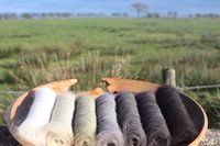 Midnight Falls Gradient Batt Set - 100g