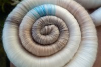 Limited Edition - Kitten Soft Rolags - 50g