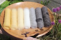 Grey Wagtail - Shetland Edition