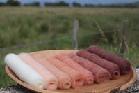 Vixen Gradient Batt Set