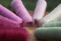 Bonny Brassica's Gradient Batt Set - 150g