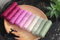 Bonny Brassica's Gradient Batt Set - 150g