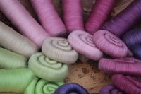 Ripening Blueberries gradient.