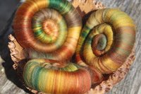 Golden Oak Rolags - 100g