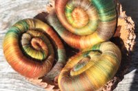 Golden Oak Rolags - 100g