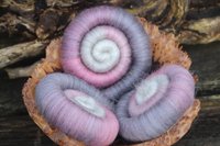 Fresco Gradient / rolags - 100g