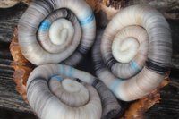 Snow Leopard rolags - 100g