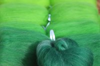 Fibonacci Fern - 130g