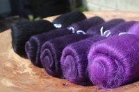 Vampire Crab gradient set