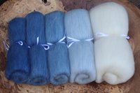 Azure Tit - Fibonacci Gradient set 130g