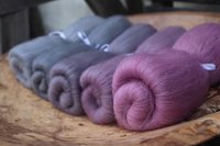 Wood Pigeon Gradient Batt Set