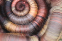 Fallen rolags - 100g