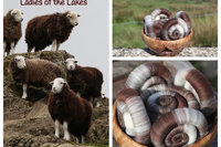 Ladies of the Lakes Rolags - 100g