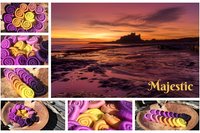 Majestic Rolag set - 110g