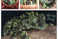 Mossy Frog rolags - 100g