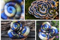 Natural recycler rolags - 100g