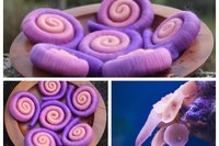 Reef Builder Gradient Rolags - 100g