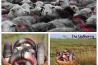 The Gathering Rolags - 100g