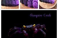Vampire Crab gradient set