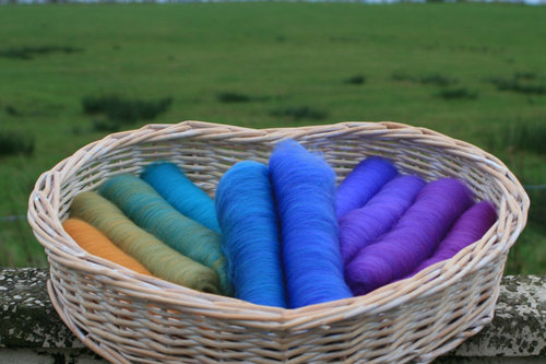 Royal Peacock Feathers XL Gradient Batt Set - 150g