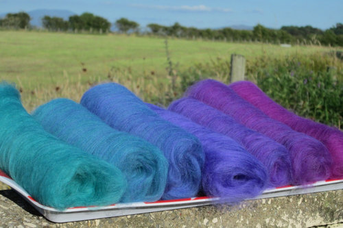 Peacock Feathers Gradient batt set