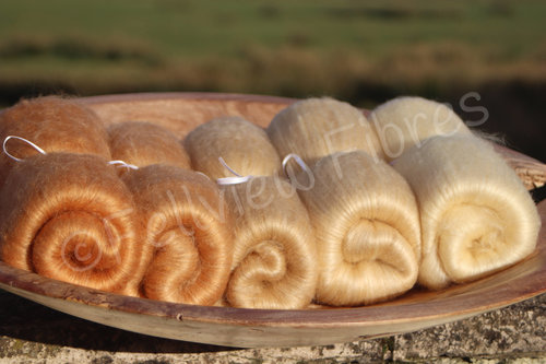 Cafe au Lait Gradient Batt Set