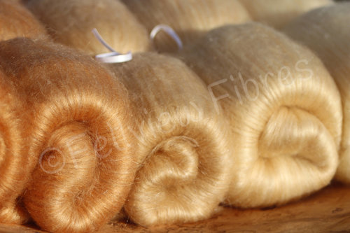 Cafe au Lait Gradient Batt Set