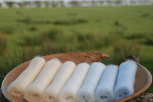 Winter Wonderland Gradient Batt Set - 100g