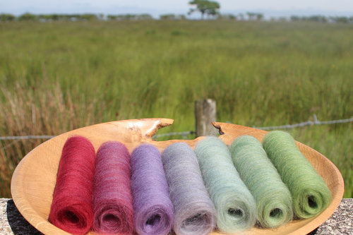 Painted Parakeet Gradient Batt Set - 100g