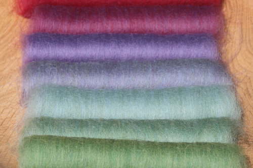 Painted Parakeet Gradient Batt Set - 100g