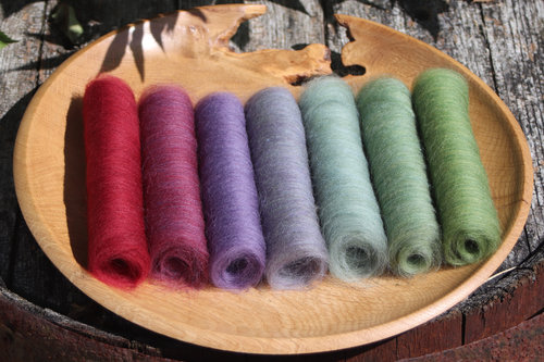 Painted Parakeet Gradient Batt Set - 100g