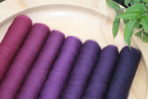 Gothic Revival Gradient Batt Set - 100g