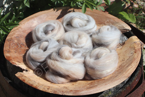 Angua - Handpulled Roving - 100g
