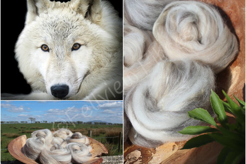 Angua - Handpulled Roving - 100g