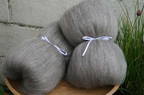 Masham / Baby llama / Honey Tussah Silk Smooth Batts - 135g