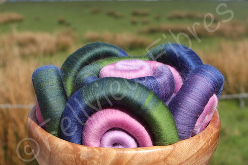 Monet's Lily Pond Gradient Rolags - 100g