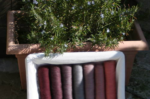 Rough Terrain Gradient Batt Set - 100g