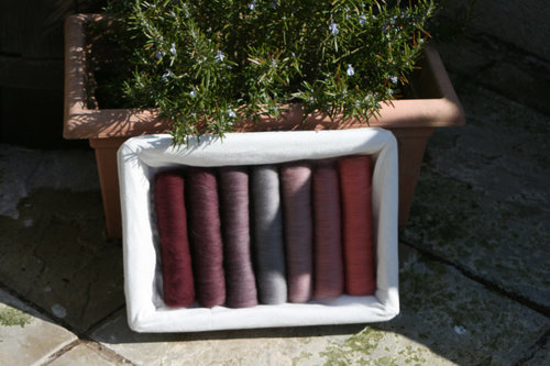 Rough Terrain Gradient Batt Set - 100g