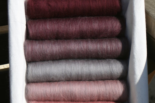 Rough Terrain Gradient Batt Set - 100g