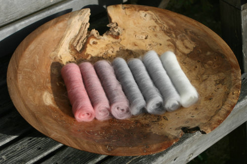 Fellside Matriarch Gradient Batt Set - 100g