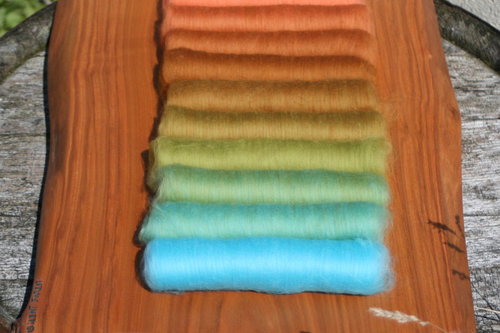 Pretty Penny XL Gradient Batt Set - 150g