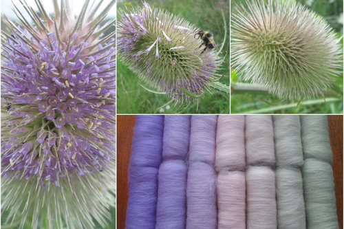Teasle Gradient Batt Set - 100g